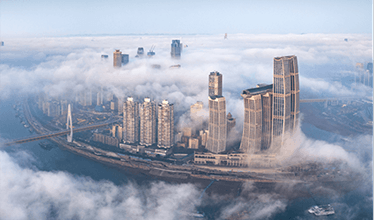 真抓实干，高标准做好中央生态环保督察整改工作